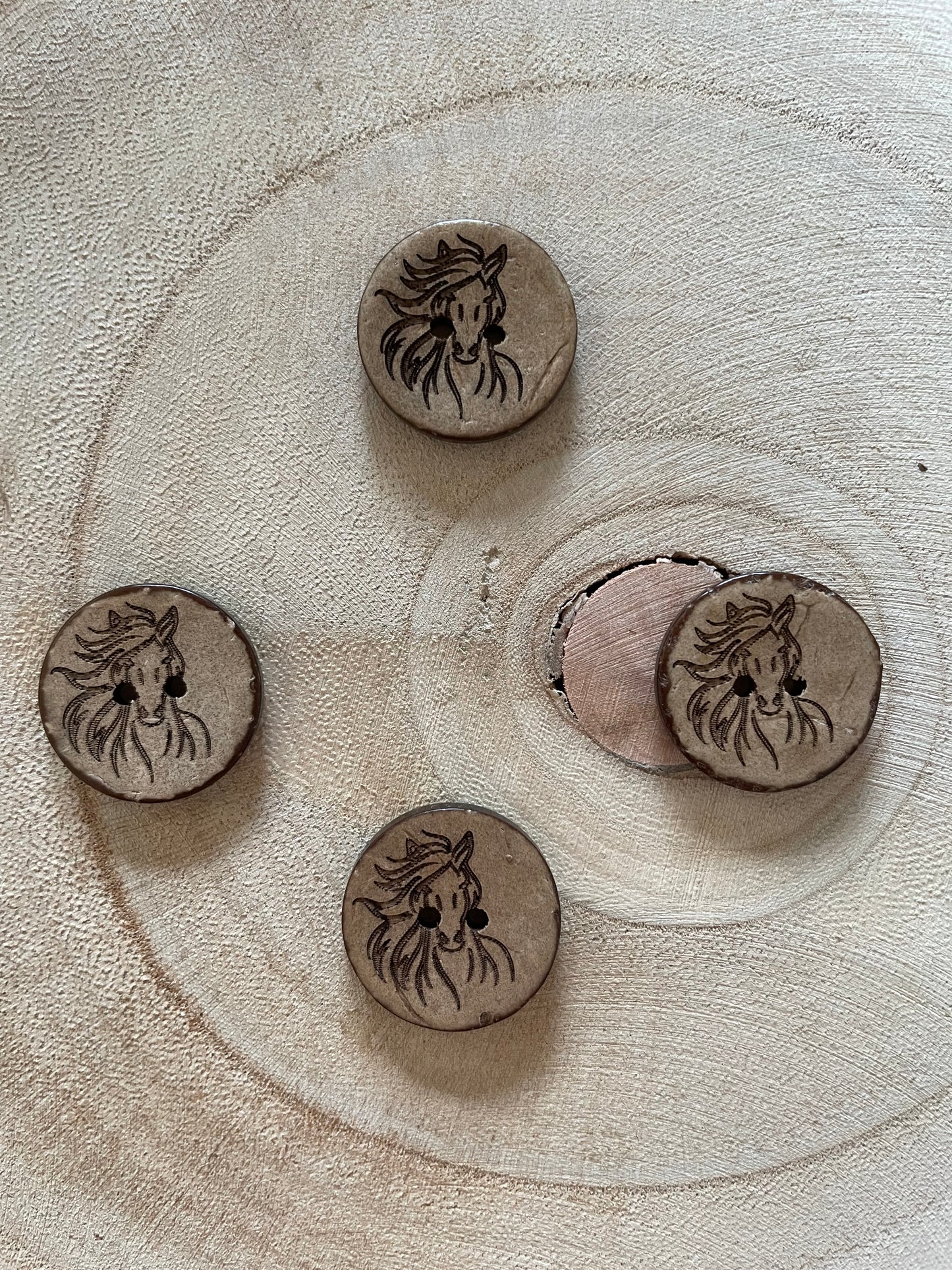 KOKOSKNOPF RUND EP ♥Pferd ♥ 20mm