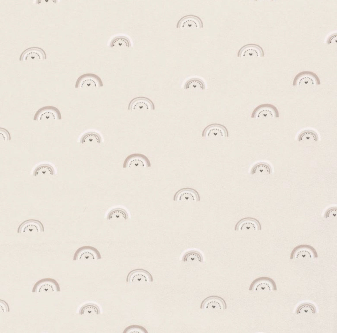 Baumwolljersey Regenbogen Beige