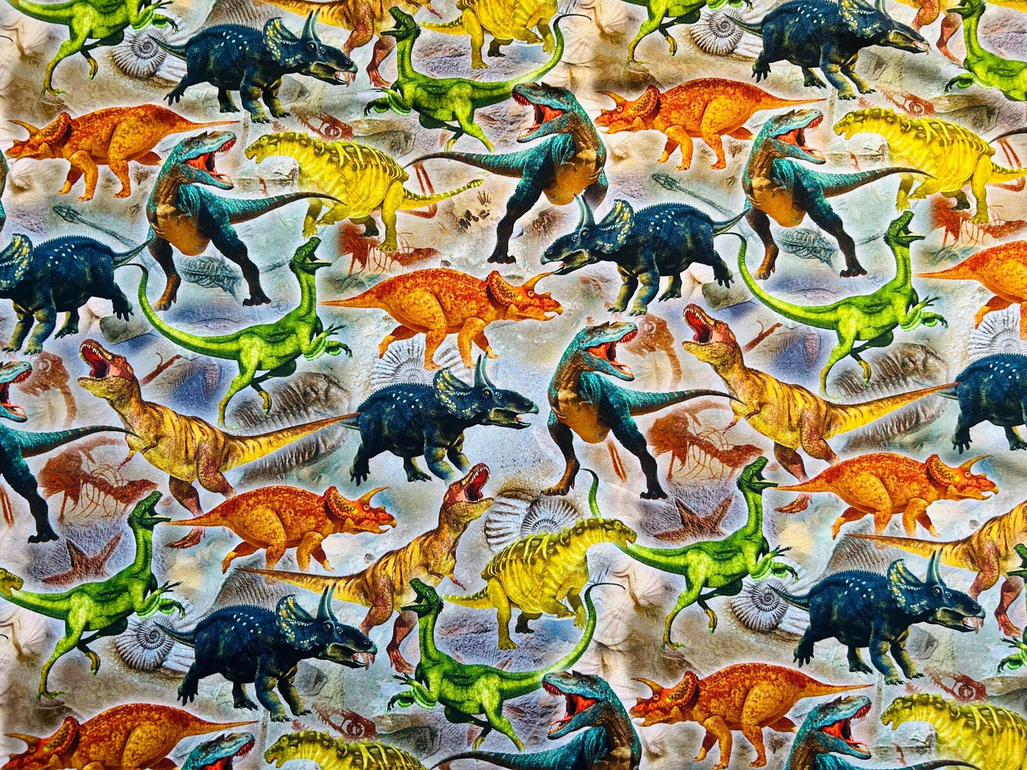 French Terry Dinosaurier