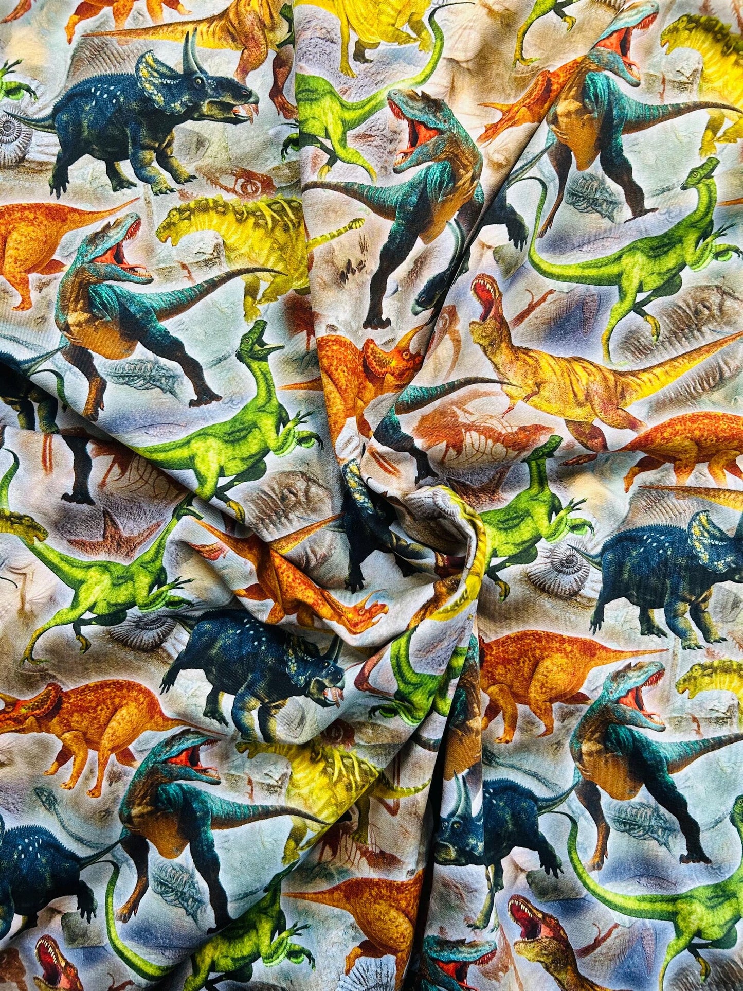 French Terry Dinosaurier